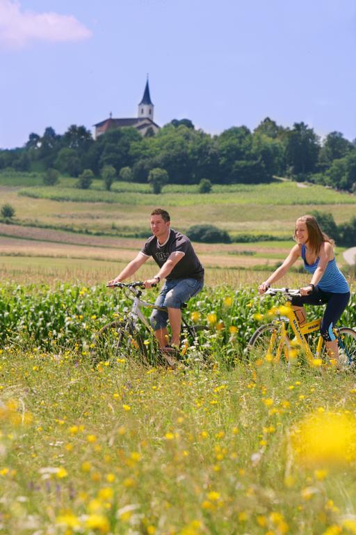 Rogašovci Turisticna Kmetija Cebelji Gradic 아파트 외부 사진