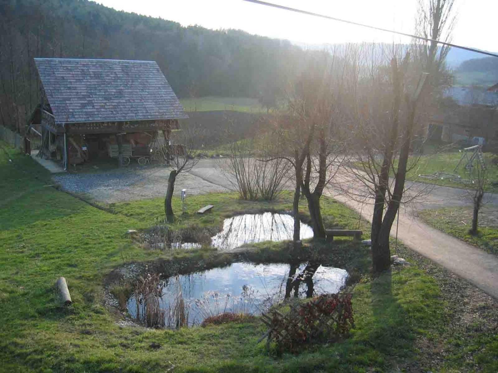 Rogašovci Turisticna Kmetija Cebelji Gradic 아파트 외부 사진
